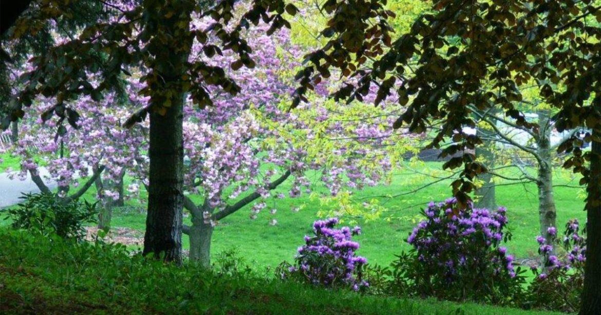 Dreamy Ontario park has public gardens known for variety of rare flowers