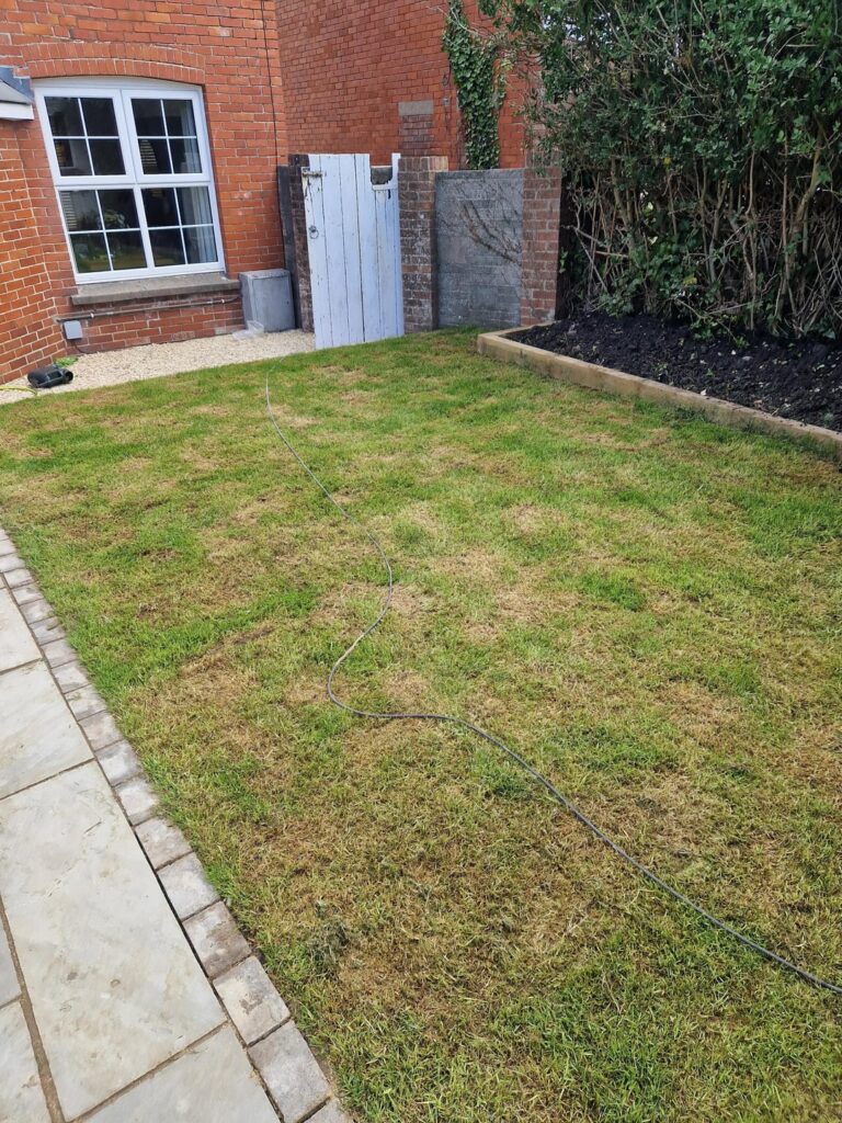 Should I aerate and scarify my newly laid turf?