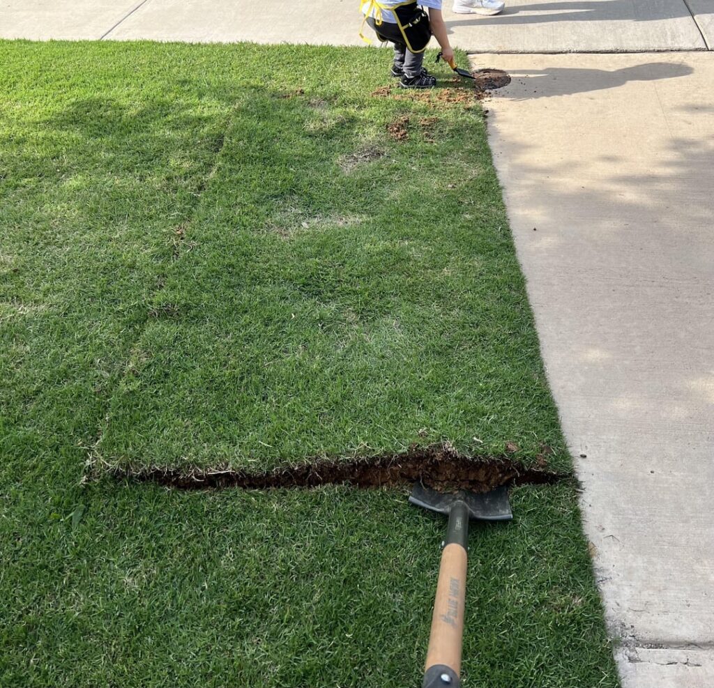 I dug for gold and found concrete.