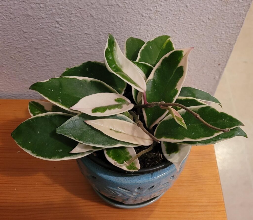 New baby found at Kroger