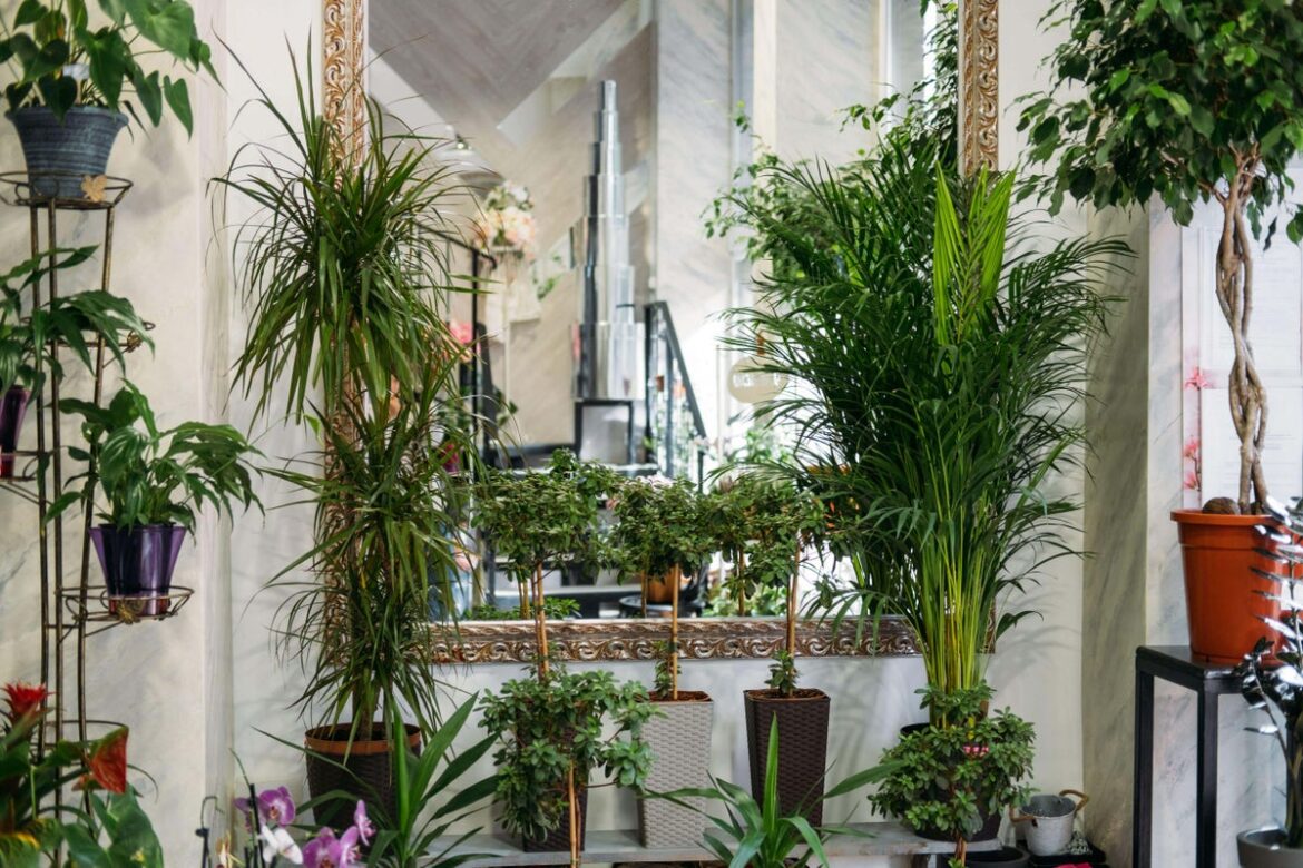How to create an indoor plantscape to rival an outdoor show garden How to create an indoor plantscape to rival an outdoor show garden