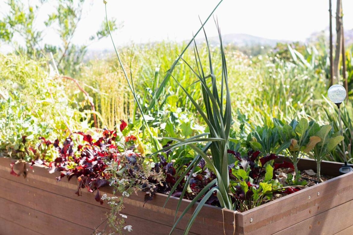 Yahoo lifestyle home