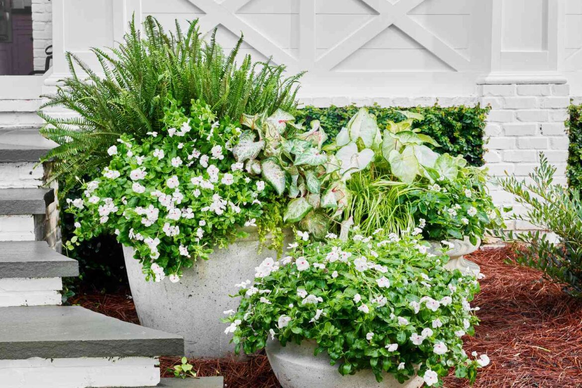 Summer Container Gardens We're Obsessing Over