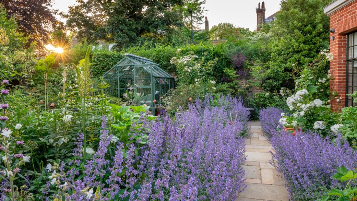 The 9 best plants to fill a garden border