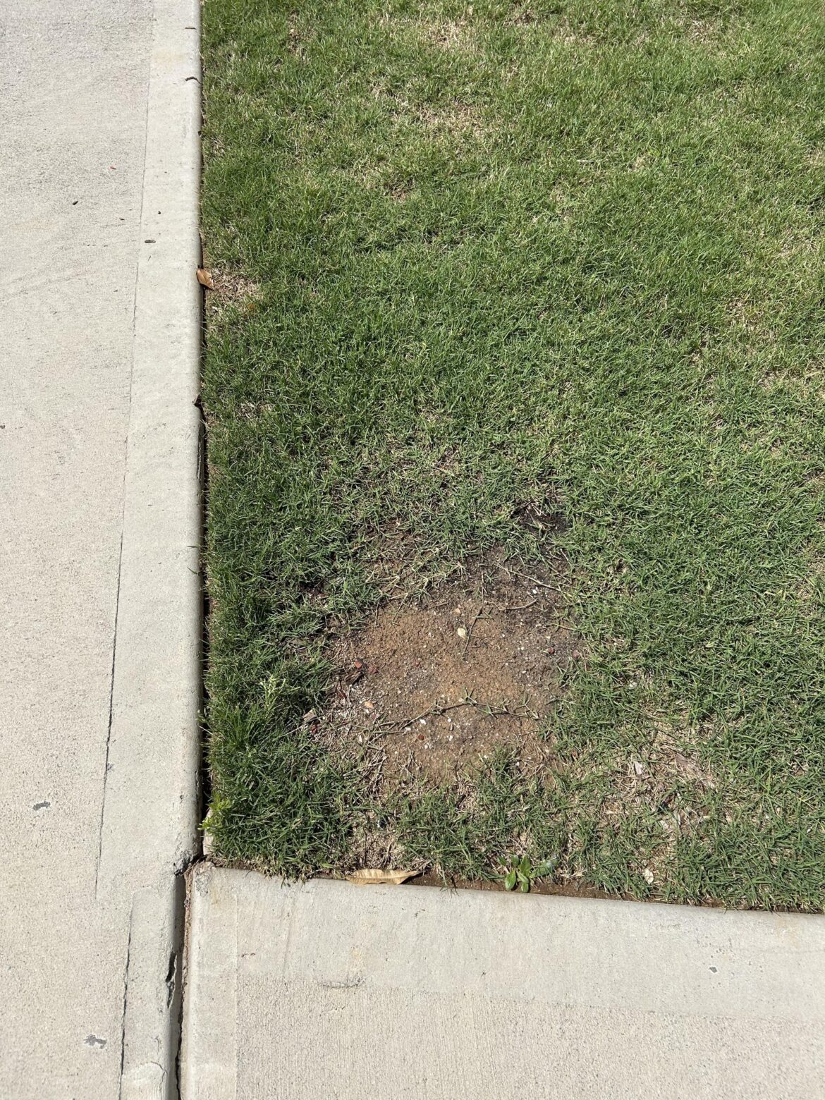 Spilled 30-0-0 here 2 years ago and it’s still dead