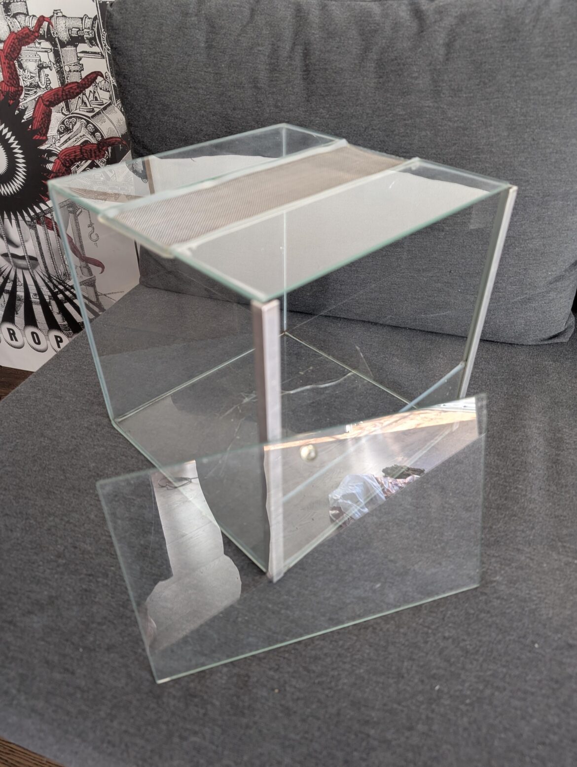 Terrarium for moss Terrarium for moss