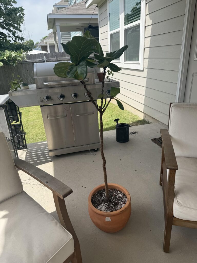 How do I help her grow? How do I help her grow?
