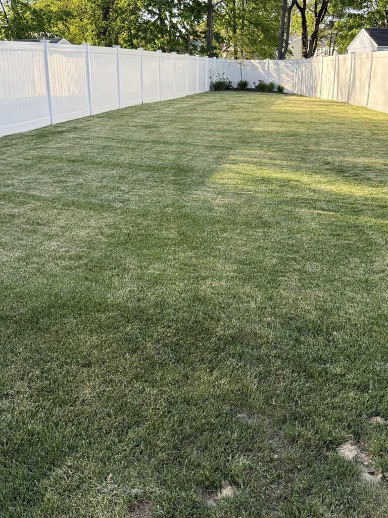 What’s going on with my lawn? What’s going on with my lawn?
