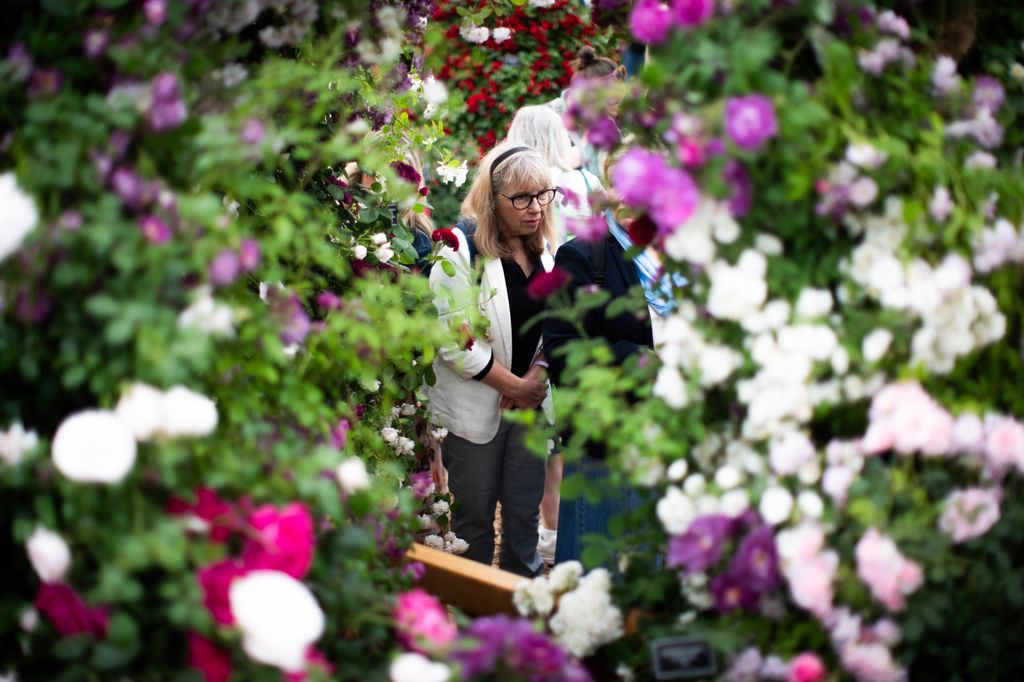 Trends this year pointed to sustainability, gardens for health and wellbeing, and edible gardening