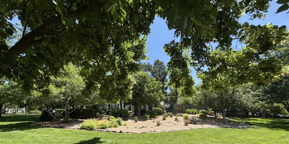 Wichita Garden Tour kicks off, showcasing drought-resilient natural displays