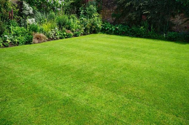 Regular mowing the lawn in spring strips it of nutrients which should be replaced.