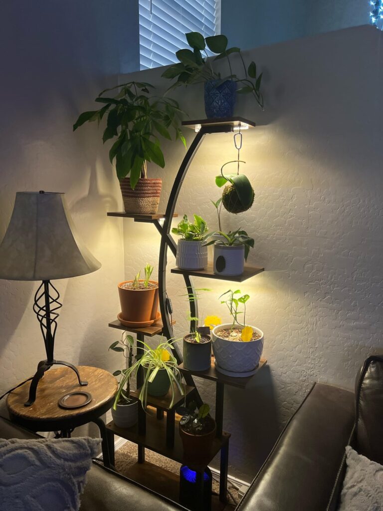 Favorite plant content? Favorite plant content?