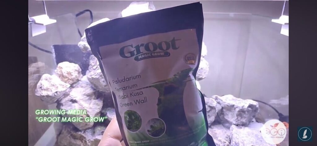 Putty mixture for planting moss on Putty mixture for planting moss on