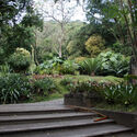 Lessons from Roberto Burle Marx: Designing Resilient and Evolving Urban Landscapes - Image 8 of 28