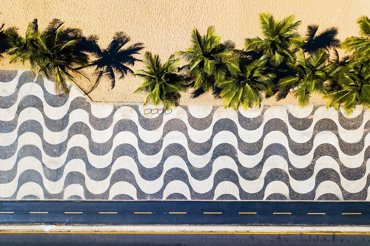 Lessons from Roberto Burle Marx: Designing Resilient and Evolving Urban Landscapes - Image 17 of 28