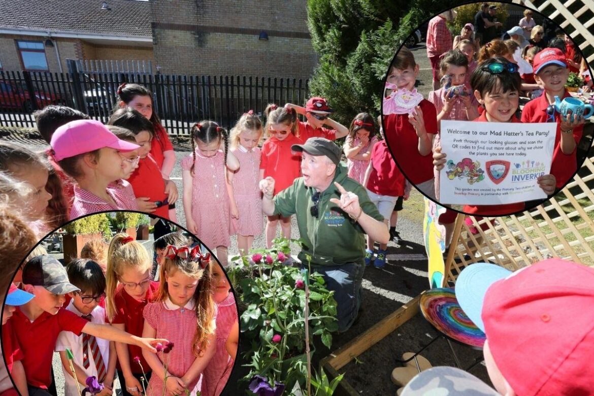 Inverkip Primary pupils create magical garden for Scone Place Garden Fair Greenock Telegraph