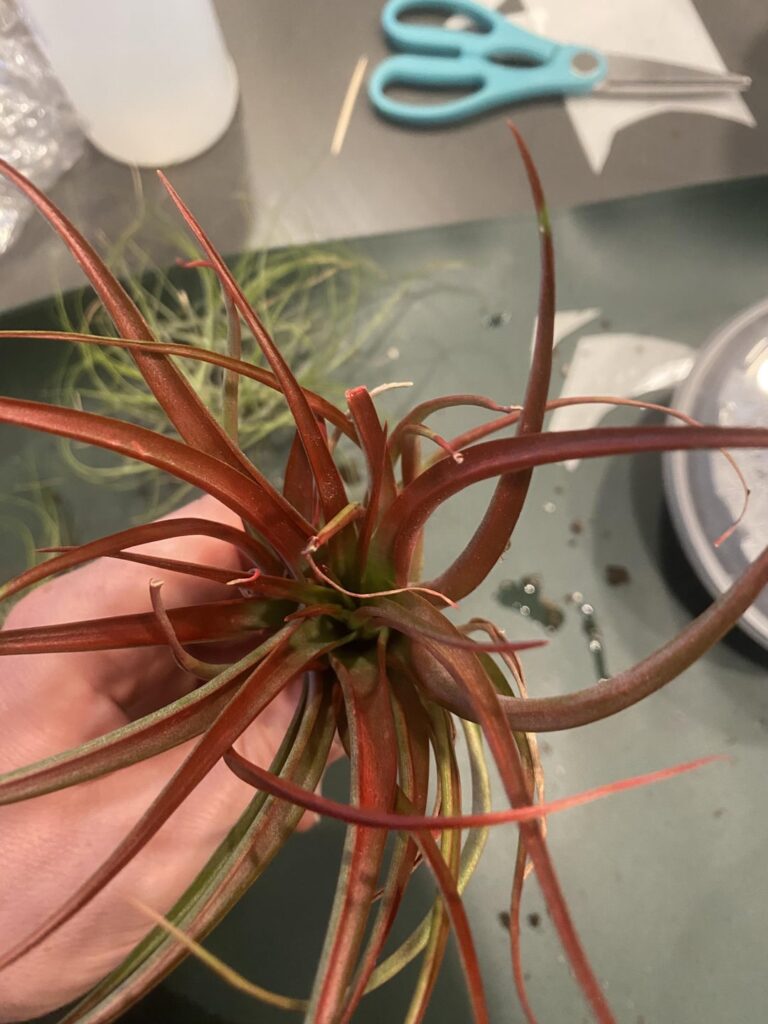 Do these look okay? Do these look okay?