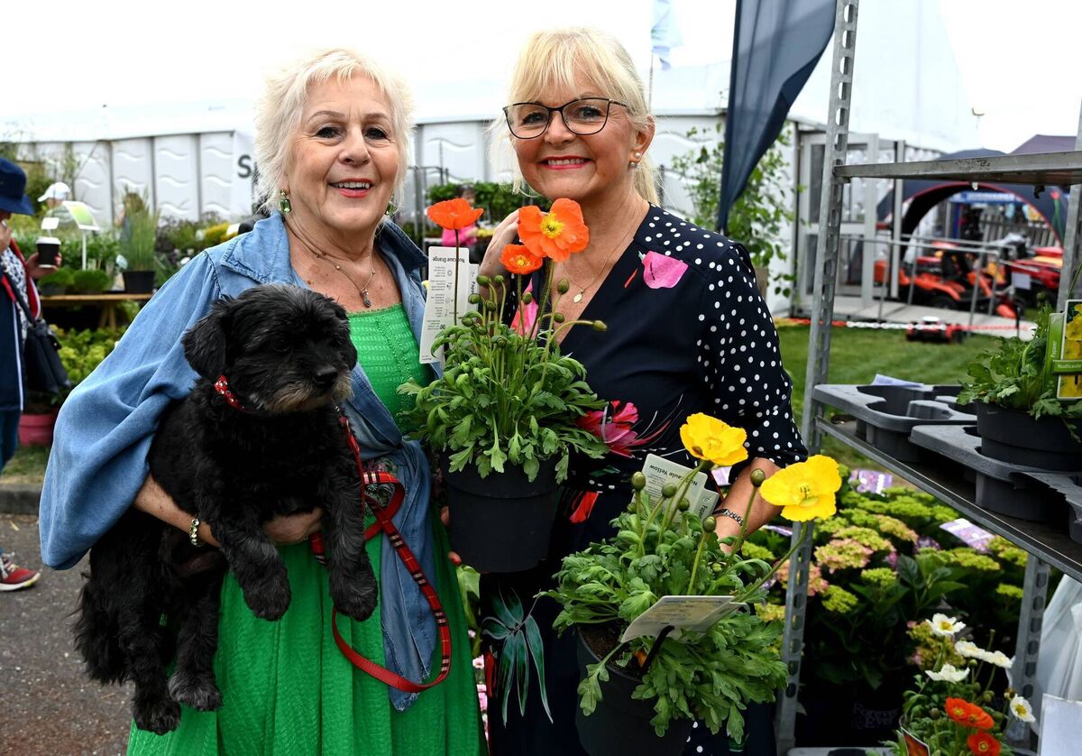 Pam O'Regan, Vicarstown, with Coco, and Bernadette Moran, Waterfall, at Mallow. 