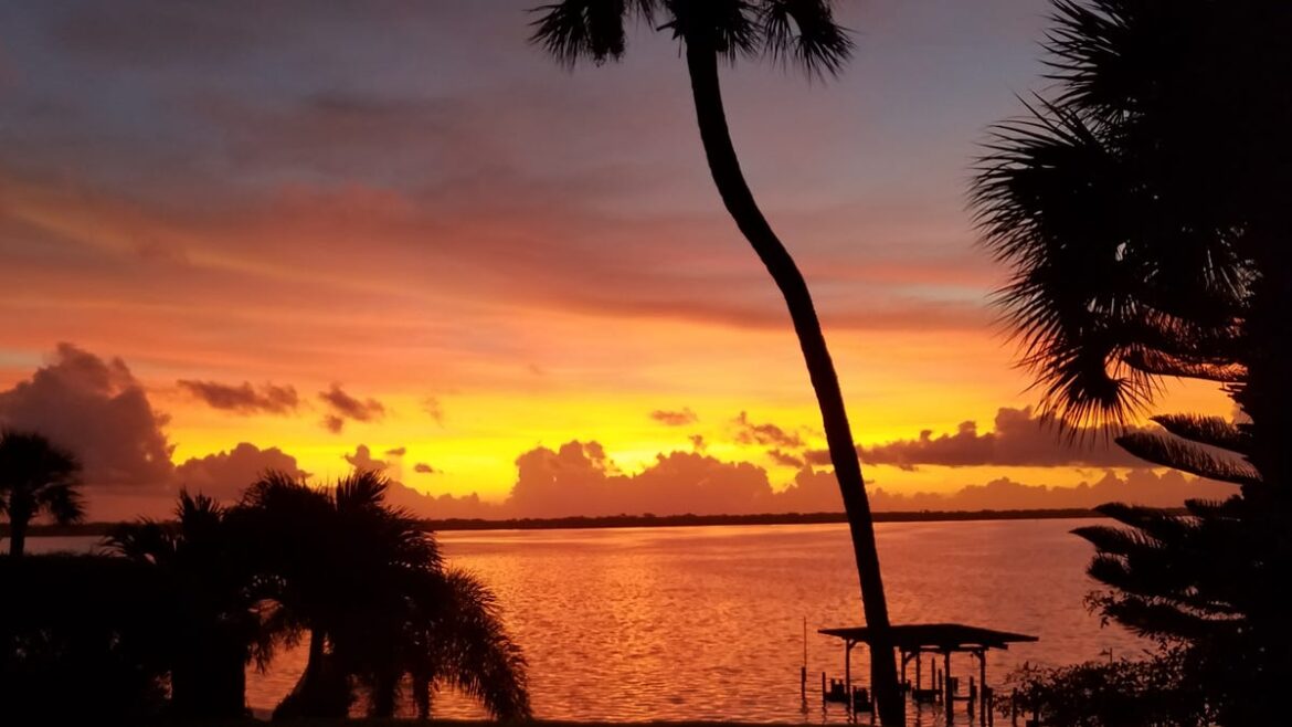 Your yard’s health helps protect water quality in Brevard Your yard's health helps protect water quality in Brevard