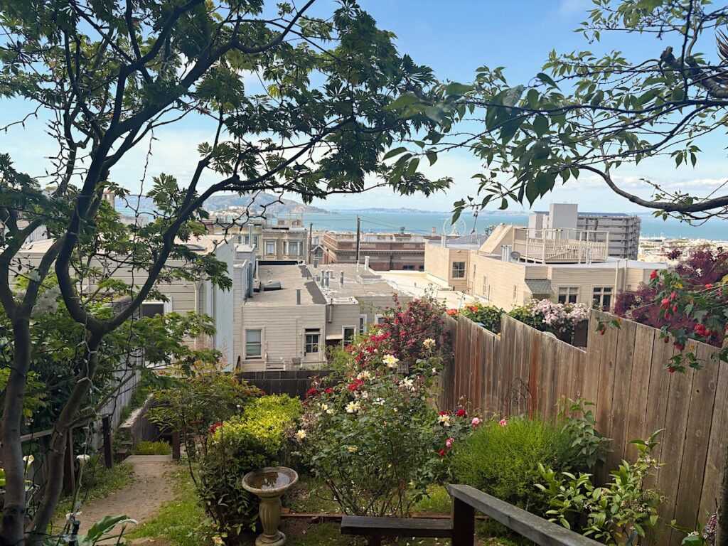 a small garden in SF with bay views and flowers that is hidden away