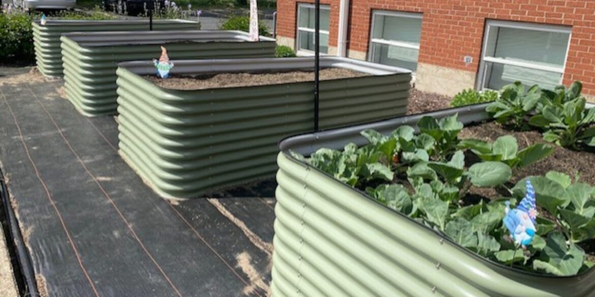 Rockton gardening club, church unveil community garden Rockton gardening club, church unveil community garden