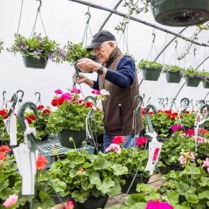 Greenfield Recorder – Gardening brings out all genres of wellness Concord Monitor - Gardening brings out all genres of wellness