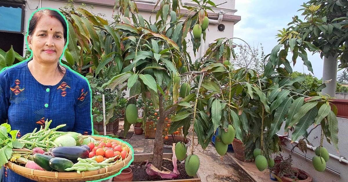 Jayanti Sahoo has turned her 350 sq ft rooftop into a garden that provides a constant supply of fresh fruits and vegetables