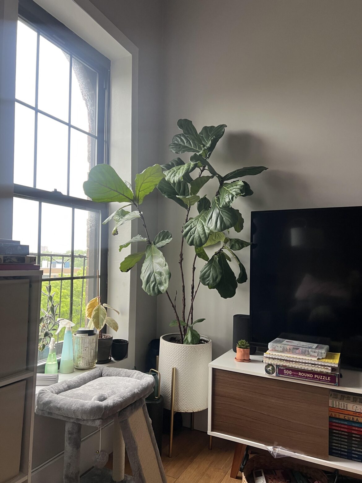 What can i do to encourage more fullness / growth?
