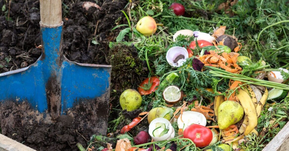 The popular compost item that will ‘quickly draw rodents’ to gardens The popular compost item that will 'quickly draw rodents' to gardens