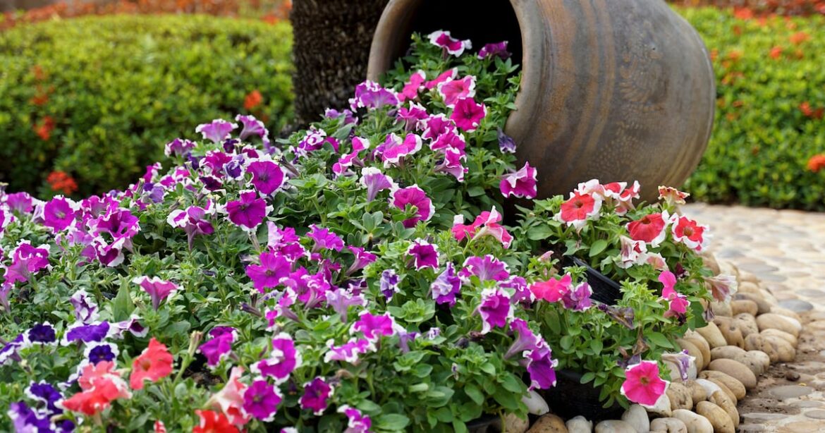 Six easy tips for making your garden planters last all summer in Ireland – The Irish Times Six easy tips for making your garden planters last all summer in Ireland – The Irish Times