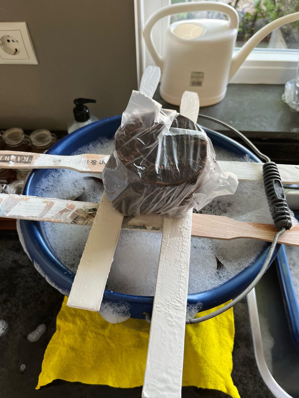 Lets see if I can drown these mf thrips