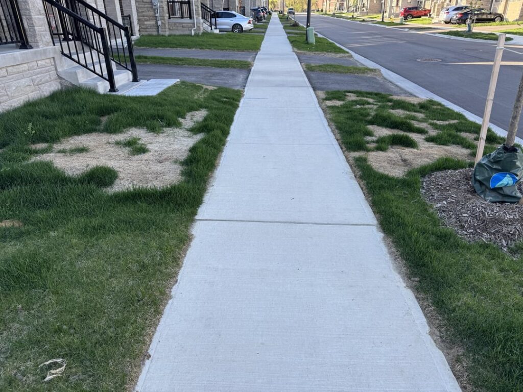 My neighbours lawn has all these patches that has grown bigger and it’s started to come to my side. Any tips on care? Grub attack?