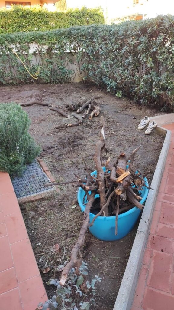 One year later! One year later!