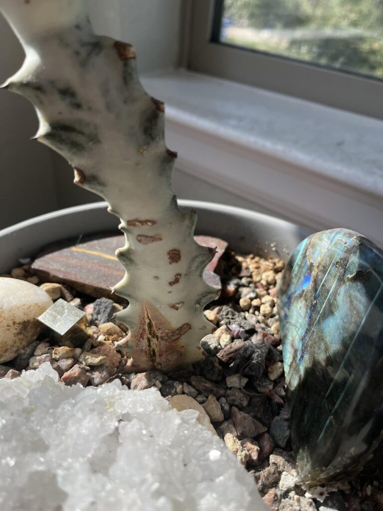 My white ghost split at the bottom. Should I need to do something about it?