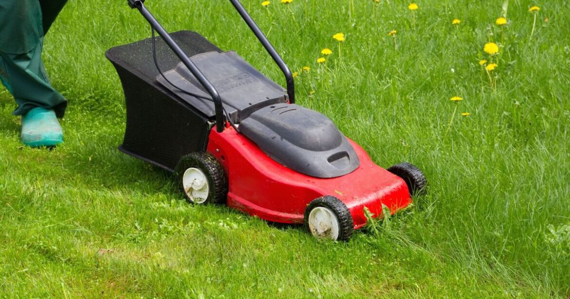 Gardeners mowing their lawn urged to follow one simple rule to avoid £110 fine Gardeners mowing their lawn urged to follow one simple rule to avoid £110 fine