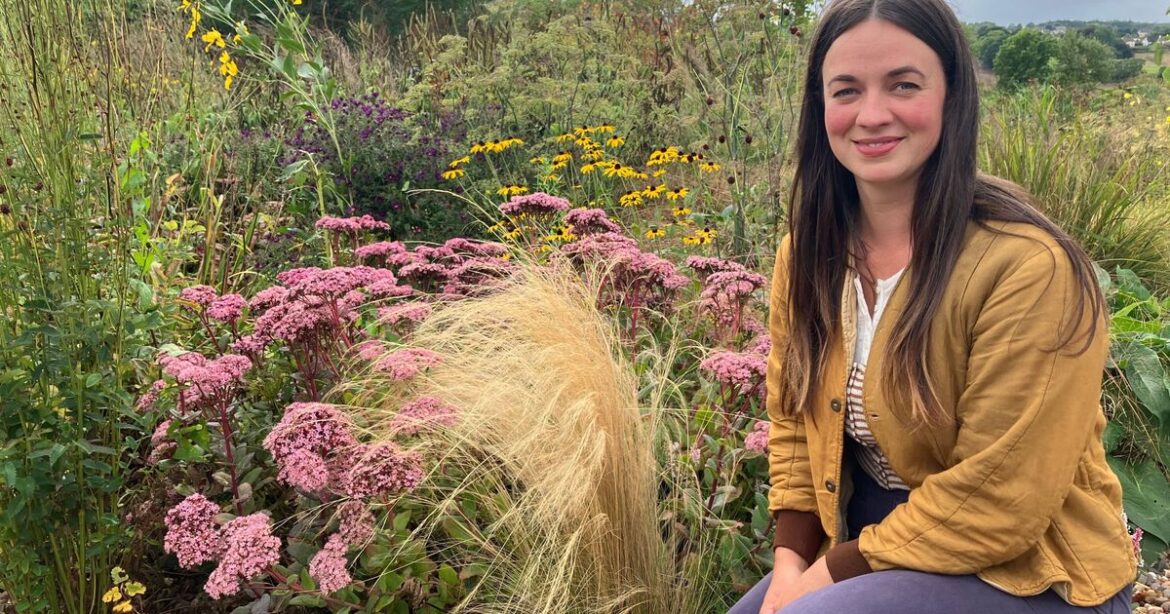 Gardeners told plant these five flowers today as heatwave hits