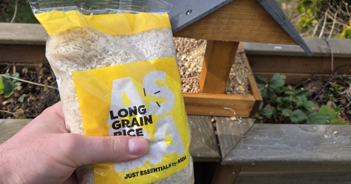 Gardeners urged to put rice on bird tables this spring