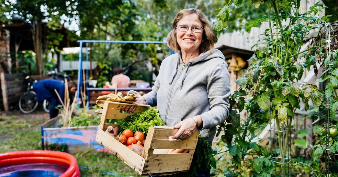 ‘One of the easiest vegetables to grow’ in your garden 'One of the easiest vegetables to grow' in your garden