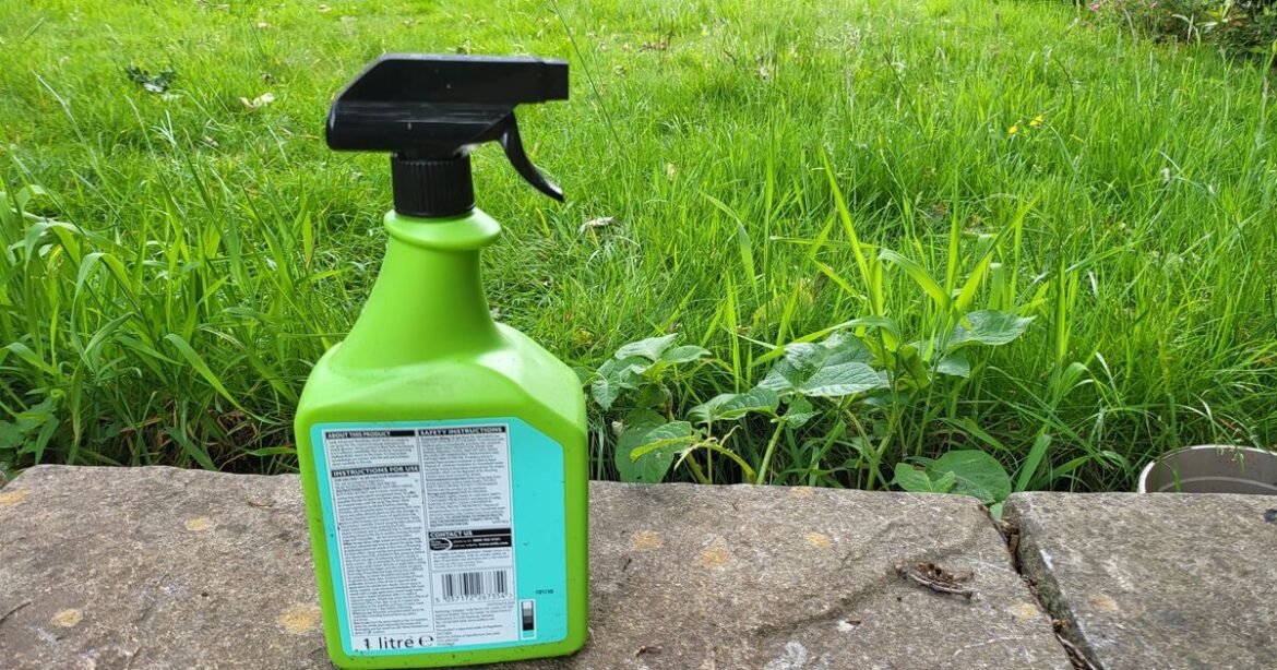 Gardeners told to stop using weedkiller in garden in May or June