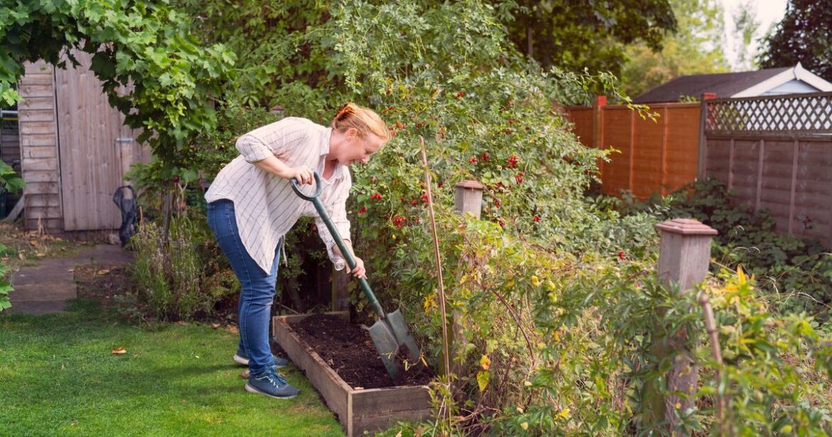 Gardeners may face prison time over little-known mistake Gardeners may face prison time over little-known mistake