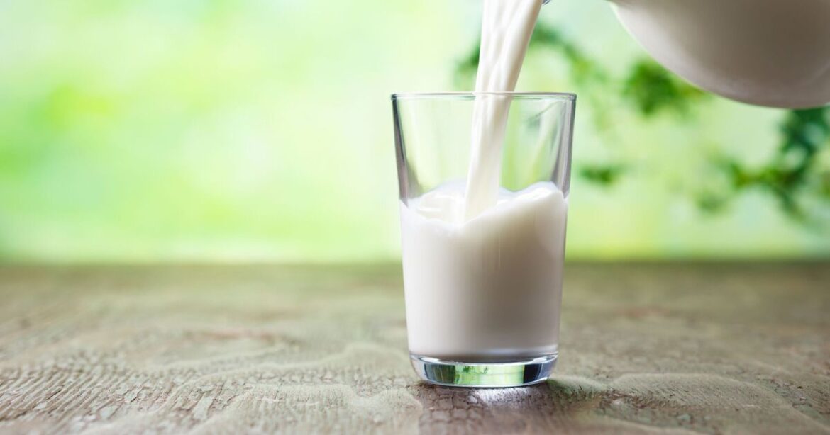 Gardeners urged to pour milk on flowers this spring Gardeners urged to pour milk on flowers this spring