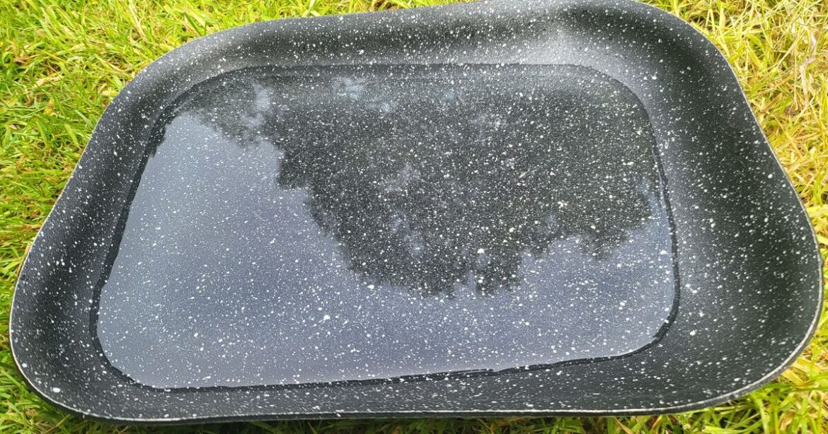 Gardeners urged to put tray of water in garden this weekend Gardeners urged to put tray of water in garden this weekend