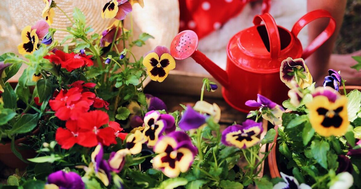 'I'm a gardening expert — gardeners can create beautiful flower displays with 7 tips'