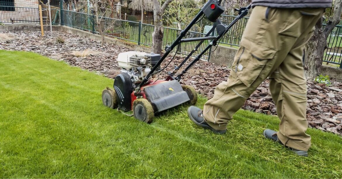 Lawns will become 'stronger and greener' if you add 1 natural item now