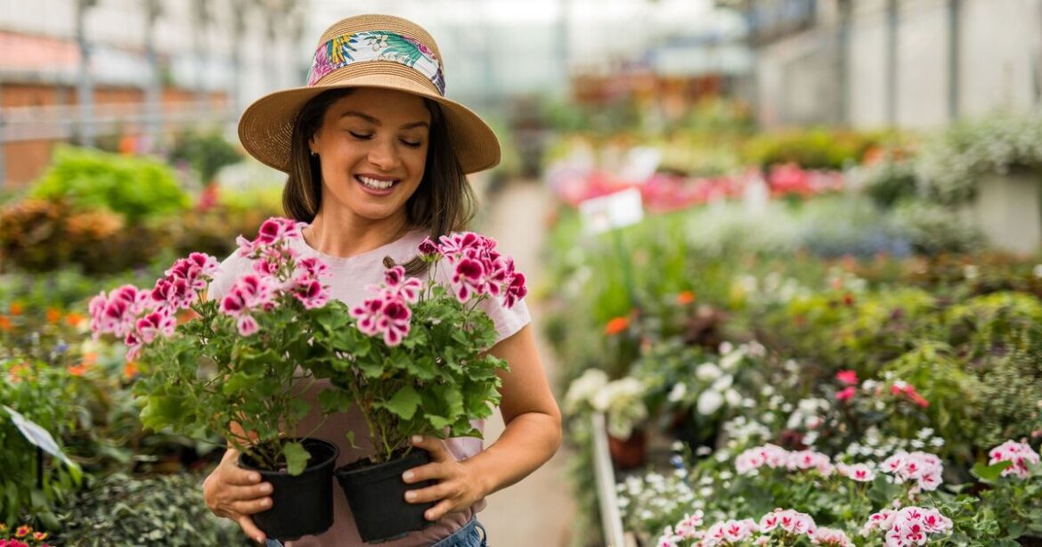 Adding 5 plants to shady gardens provides ‘burst of colour’ Adding 5 plants to shady gardens provides 'burst of colour'