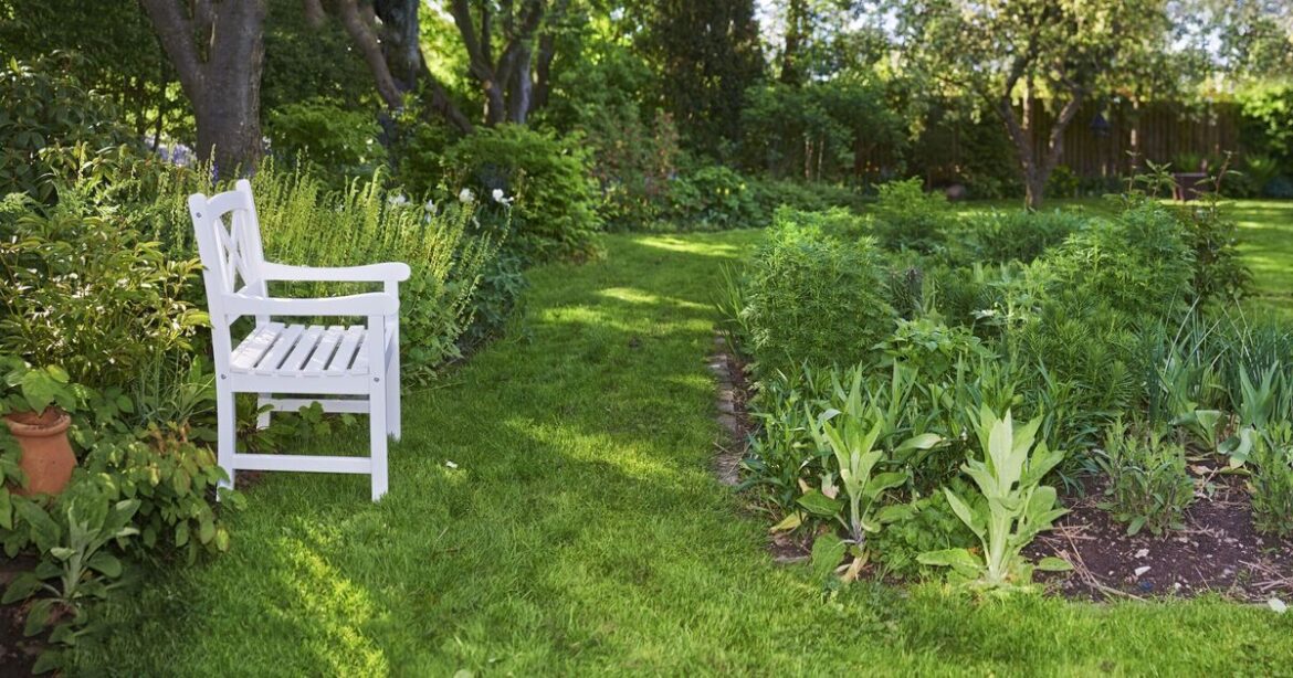 Expert issues top tips for homeowners with these gardens that get a ‘bad name’ Expert issues top tips for homeowners with these gardens that get a 'bad name'