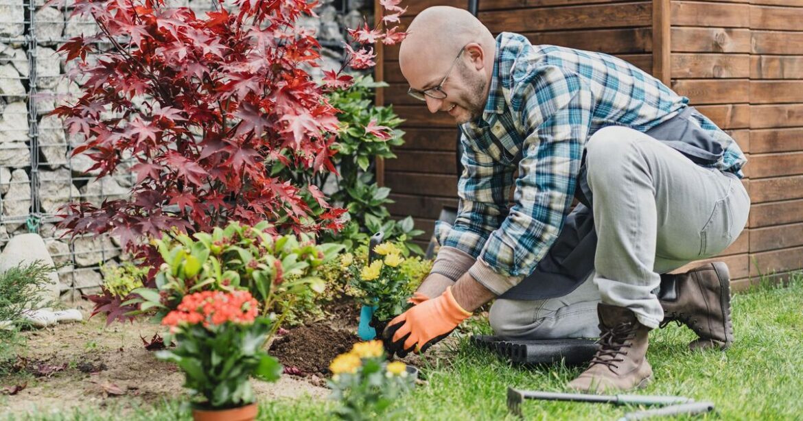 Gardeners urged to do vital task before planting garden centre flowers