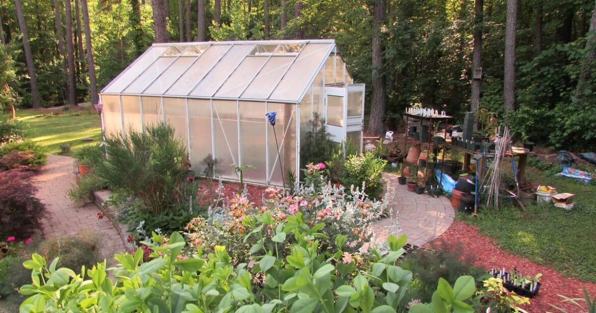 Any gardener with a greenhouse urged to do one thing this week Any gardener with a greenhouse urged to do one thing this week