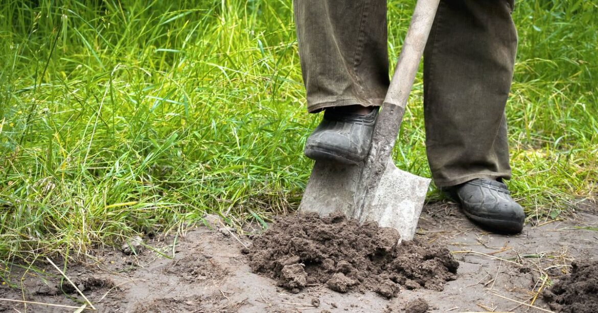 Gardener’s ‘top tip’ for endangered plants leaves users mortified Gardener’s 'top tip' for endangered plants leaves users mortified