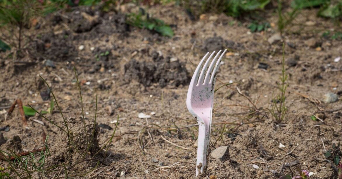 Gardeners urged to place plastic forks around their plants